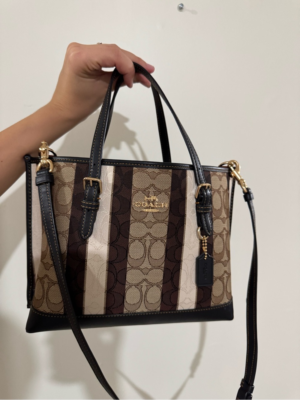 Coach Mollie Tote Signature Jacquard Striped Purse